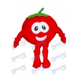 Bob die Tomate von VeggieTales Maskottchenkostüm