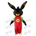 Roger Rabbit BING Lapin de Pâques Mascotte Costume