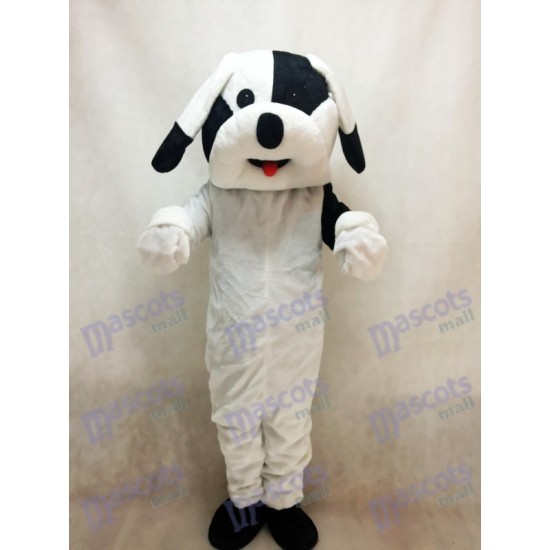 Perro blanco y negro Disfraz de mascota