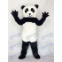 Panda Maskottchenkostüm Tier