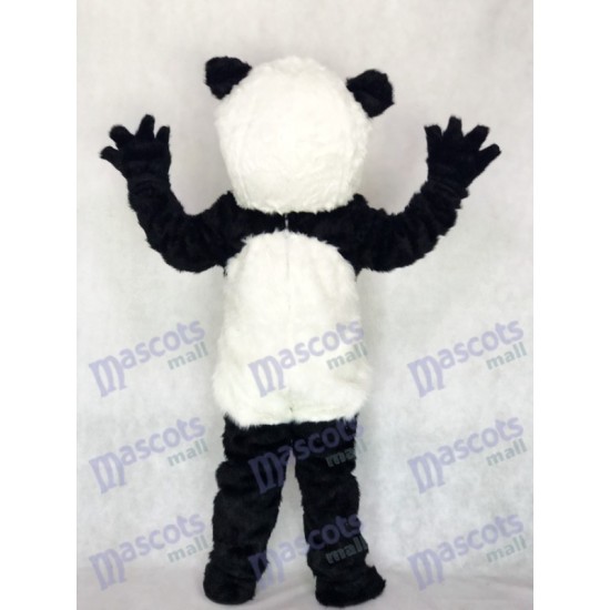 Panda Maskottchenkostüm Tier