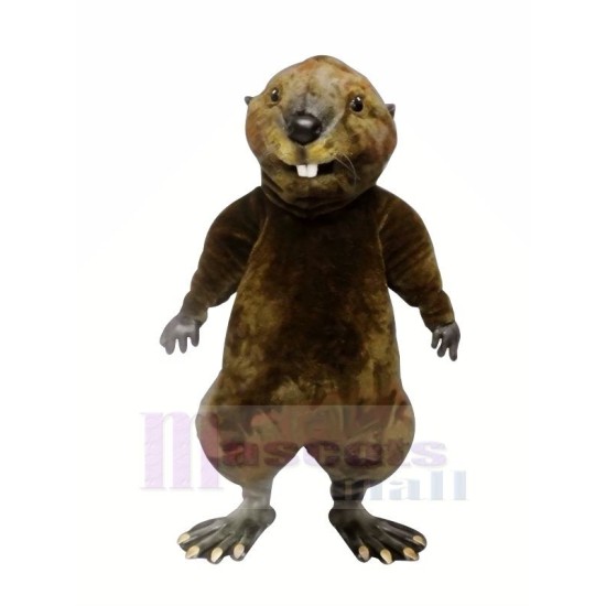 Hochwertiger Otter Maskottchenkostüm