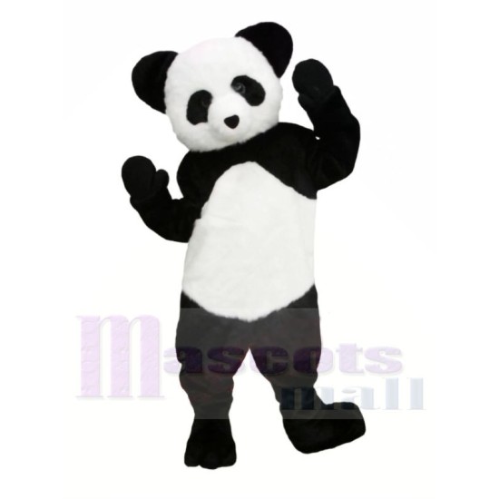 Süßer Panda Maskottchenkostüm