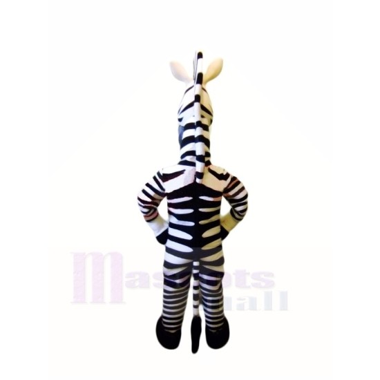 Glückliches Zebra Maskottchenkostüm