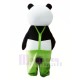 Süßer Panda im grünen Mantel Maskottchenkostüm