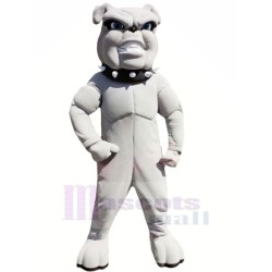 Lightweight Grey Bulldog Mascot Costume