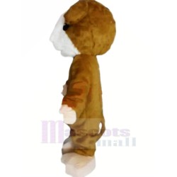 Lovely Brown Hamster Mascot Costume