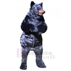 Wild Bear Mascot Costume