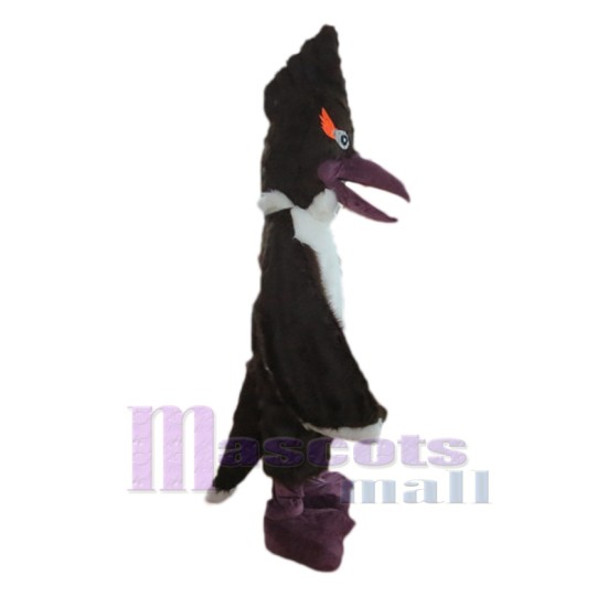 Neuer Woody Woodpecker Black Bird Maskottchenkostüm