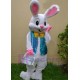 Conejo de Pascua Disfraz de mascota vestido de lujo traje de dibujos animados