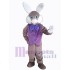 Lapin de Pâques en violet Mascotte Costume Animal