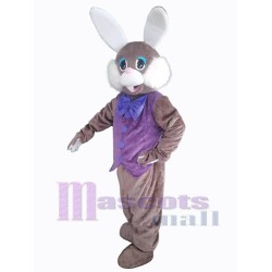 Conejito de Pascua en Morado Disfraz de mascota Animal