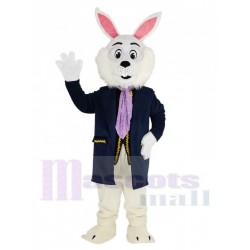 Conejo en traje azul conejo de Pascua Traje de la mascota