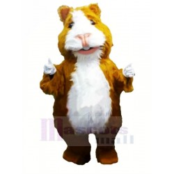 Cute Hamster Mascot Costumes Cartoon