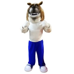 Smiling Bulldog Mascot Costume with Dark Blue Sweatpants