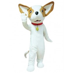 Brown and White Chihuahua Mascot Costume with Red Collar