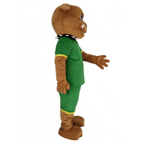 Bouledogue brun en Sweat Vert Costume de mascotte Animal