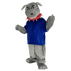 Bulldog en traje de la mascota de la camiseta azul oscuro