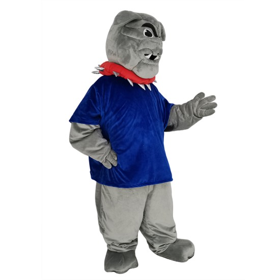 Bulldogge im dunkelblauen T-Shirt Maskottchen Kostüm