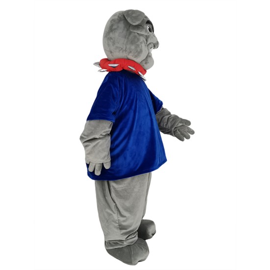 Bulldogge im dunkelblauen T-Shirt Maskottchen Kostüm