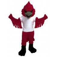 Pouvoir Costume Mascotte Cardinal Animal