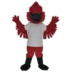 Cardinal Bird in White T-shirt Mascot Costume
