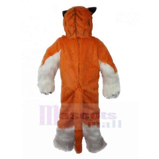 De pelo largo Tigre naranja y blanco Disfraz de mascota Fursuit