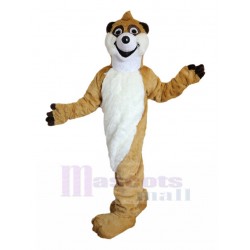 Laughing Brown Raccoon Mascot Costume Animal