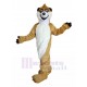 En riant raton laveur brun Costume de mascotte Animal