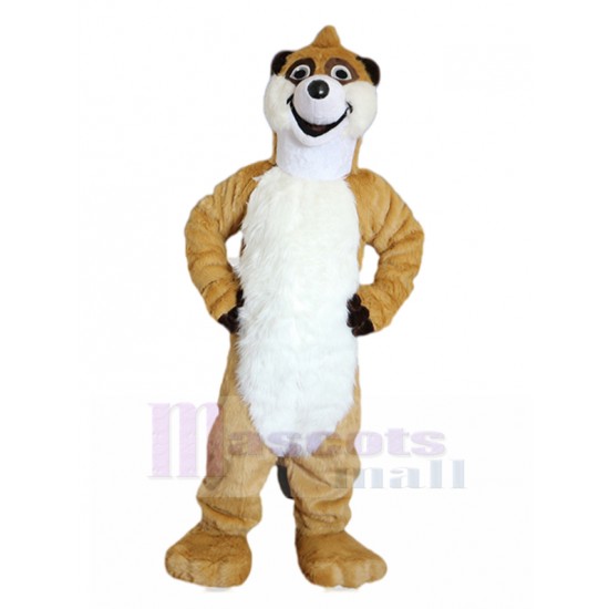 En riant raton laveur brun Costume de mascotte Animal