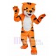 Agradable Pequeño tigre naranja Disfraz de mascota Animal