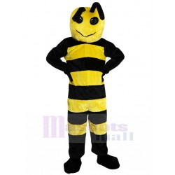 Unsmiling Black and Yellow Bee Mascot Costume Insect