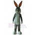 Grauer Bugs Bunny Osterhase Maskottchen Kostüm Karikatur