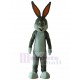 Bugs Bunny gris Conejo de Pascua Disfraz de mascota Dibujos animados