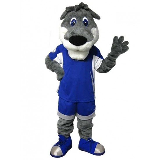 Graues Hundemaskottchen-Kostüm im blauen Sportanzug Tier