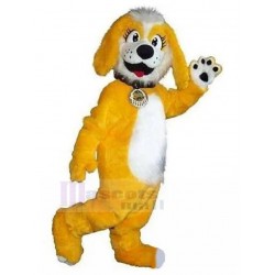 Disfraz de mascota de Fursuit de perro mascota amarillo y blanco con cuello negro Animal