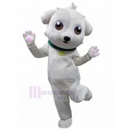Animal dulce y lindo del traje de la mascota del perro blanco de la historieta