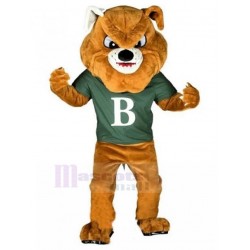 Bulldog marrón feroz Disfraz de mascota Animal en camiseta verde celadón