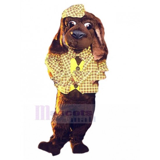 Chien brun Costume de mascotte Animal en costume à carreaux jaune
