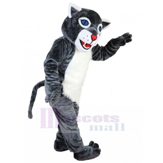 Gut gelaunt Graue Wildkatze Maskottchen Kostüm Tier mit blauen Augen