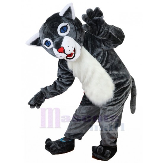Gut gelaunt Graue Wildkatze Maskottchen Kostüm Tier mit blauen Augen