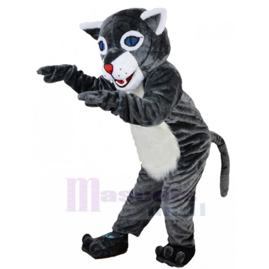 Alegre Gato montés gris Disfraz de mascota Animal con ojos azules