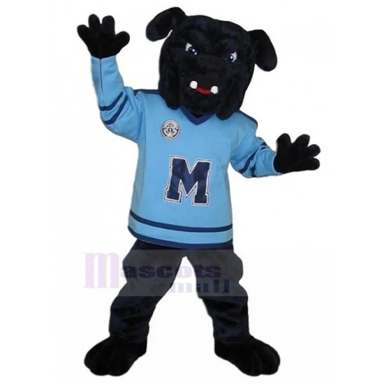 Costume de mascotte de bouledogue de sport noir en animal pull bleu