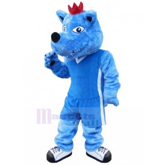 Blaues Sportwolf-Hundemaskottchen-Kostüm mit rotem Kronentier