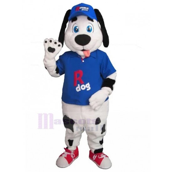 Schwarzfleckiger Dalmatiner Hund Maskottchen-Kostüm mit blauem Baseball-Anzug Tier