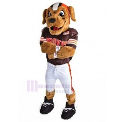 Fröhlicher brauner Hund Maskottchen Kostüm mit American Football Jersey Tier