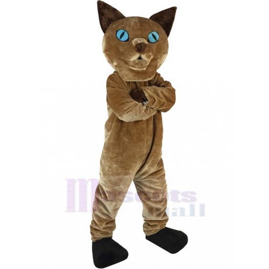 Alerta gato marrón Disfraz de mascota animal con ojos azules