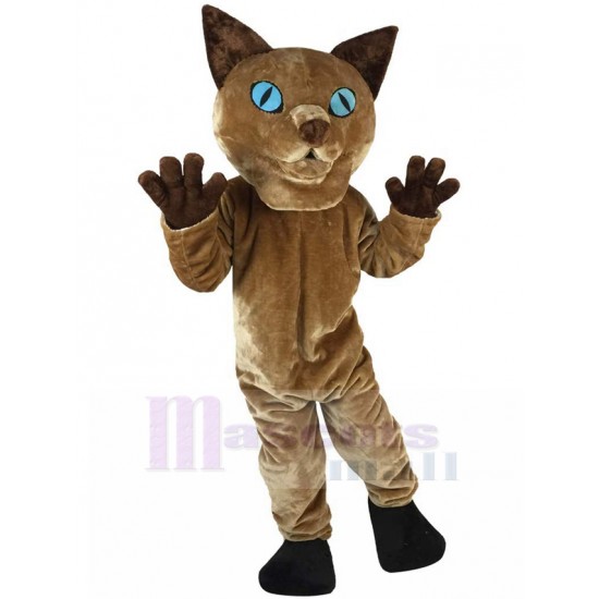 Alert Brown Cat Maskottchen Kostüm Tier mit blauen Augen