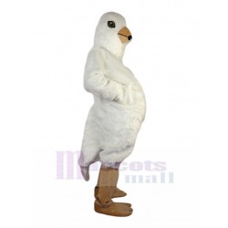 Calme Pigeon Blanc Costume de mascotte Animal
