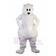 Verwirrt Weißer Eisbär Maskottchen Kostüm Tier